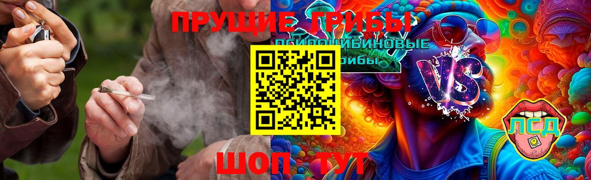 Электросталь  Галлюциногенные грибы мицелий  Вход с VPN 